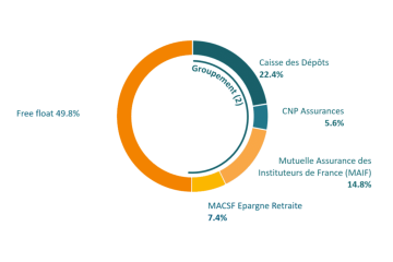 Shareholder structure visual representation