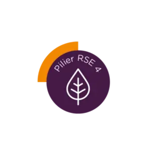 Pilier RSE4