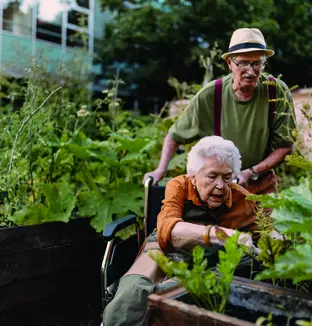 jardinage / Getty